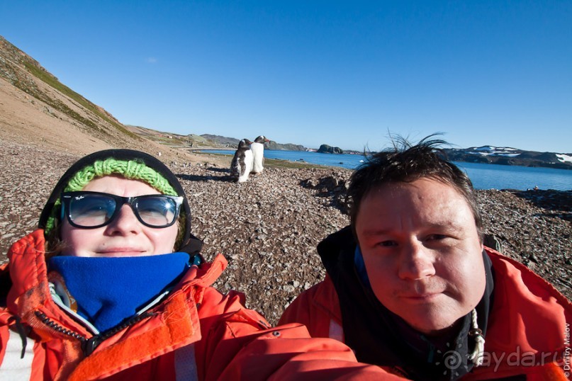 Антарктида: Пингвины!