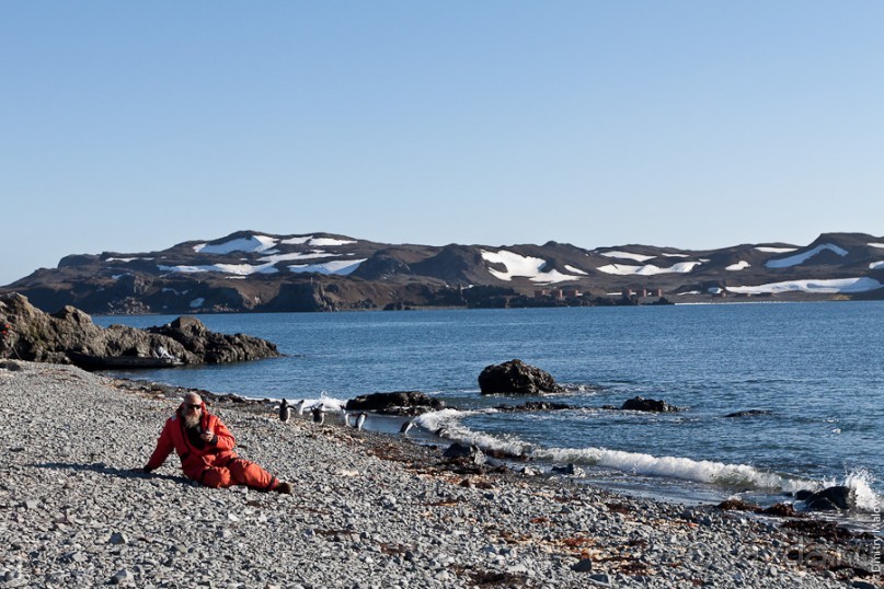 Антарктида: Пингвины!