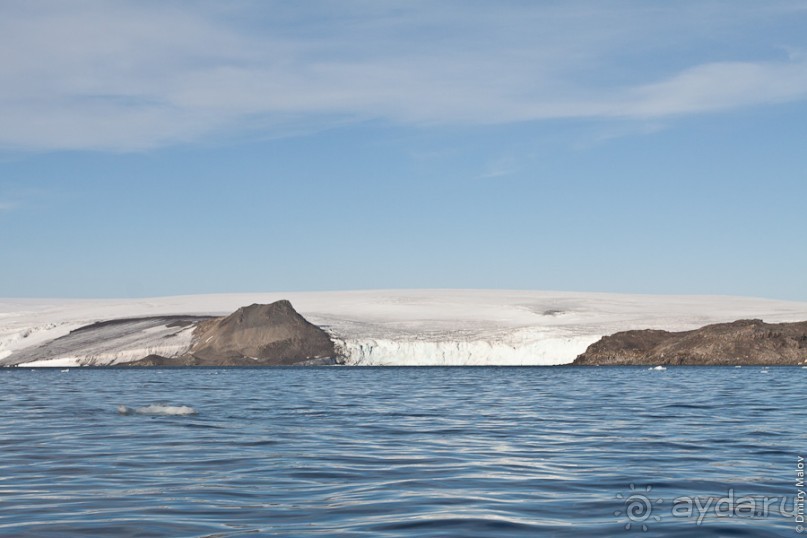 Антарктида: Пингвины!