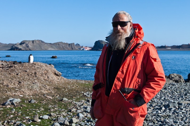 Антарктида: Пингвины!