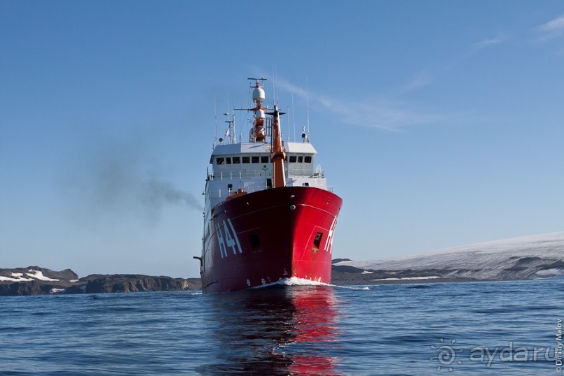 Антарктида: Пингвины!