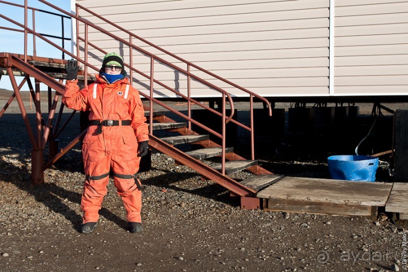 Антарктида: Пингвины!