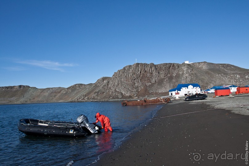 Антарктида: Пингвины!