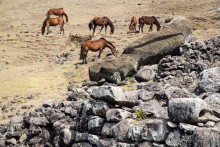 Остров Пасхи - Easter Island (2/3)