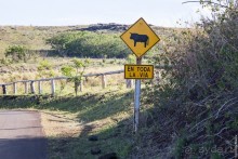 Остров Пасхи - Easter Island (2/3)