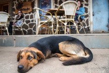 Остров Пасхи - Easter Island (2/3)