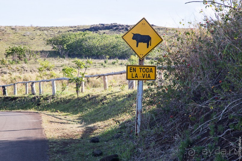 Остров Пасхи - Easter Island (2/3)