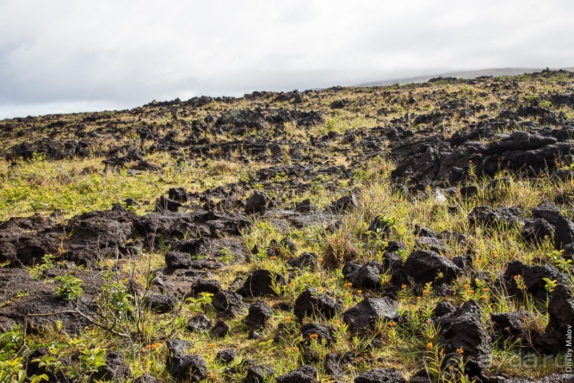 Остров Пасхи - Easter Island (2/3)