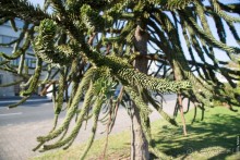 По Бургундии на барже (3/3)