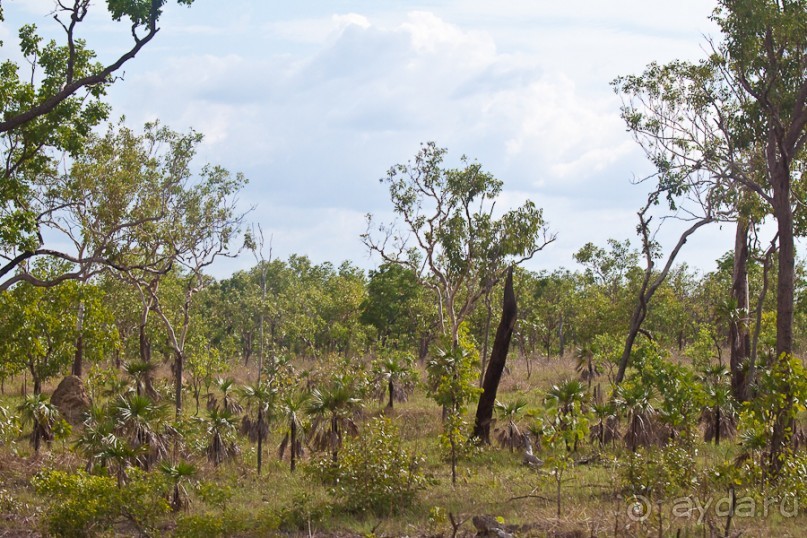 Австралия (Кайнис, Катерина, Дарвин)