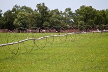 Австралия (Кайнис, Катерина, Дарвин)