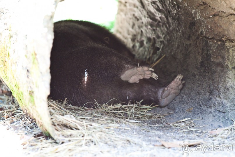 Австралия (Кайнис, Катерина, Дарвин)