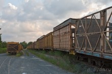 Австралия (Кайнис, Катерина, Дарвин)