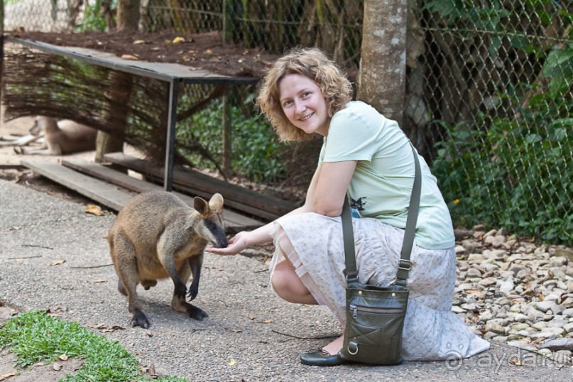 Австралия (Кайнис, Катерина, Дарвин)