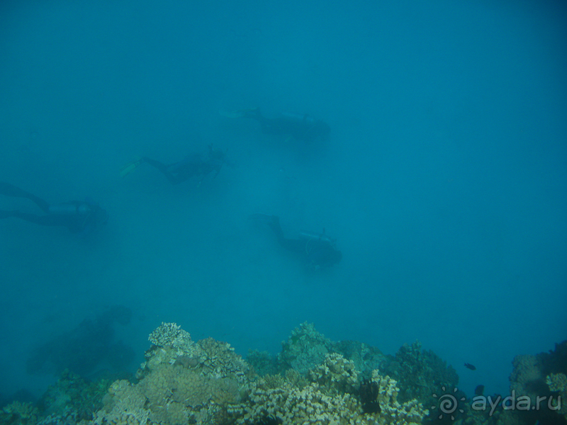 Австралия (Кайнис, Катерина, Дарвин)