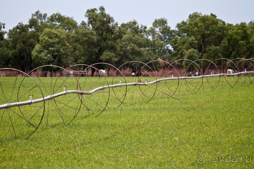 Австралия (Кайнис, Катерина, Дарвин)