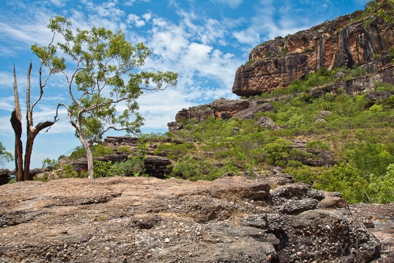Австралия (Кайнис, Катерина, Дарвин)