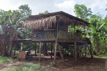 Pohnpei, Micronesia (2/2)