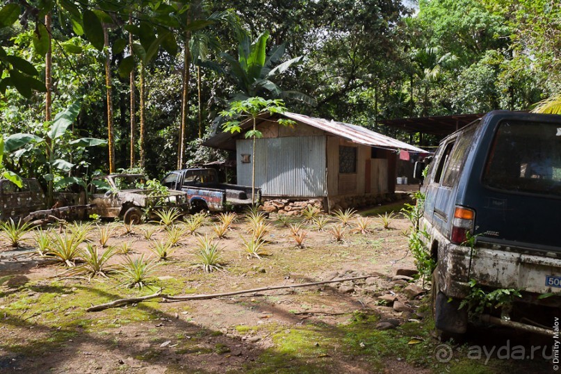 Pohnpei, Micronesia (2/2)