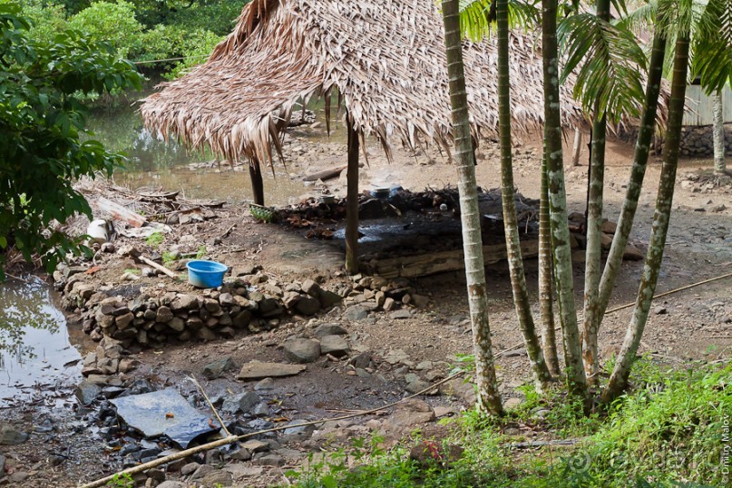 Pohnpei, Micronesia (2/2)