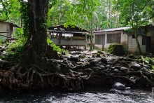 Pohnpei, Micronesia (2/2)