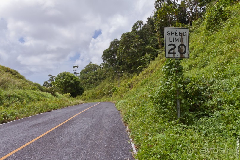 Pohnpei, Micronesia (2/2)