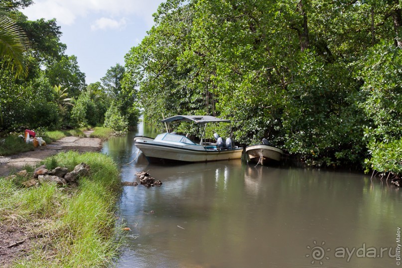 Pohnpei, Micronesia (2/2)