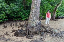 Pohnpei, Micronesia (2/2)