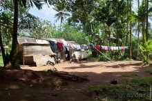 Pohnpei, Micronesia (2/2)