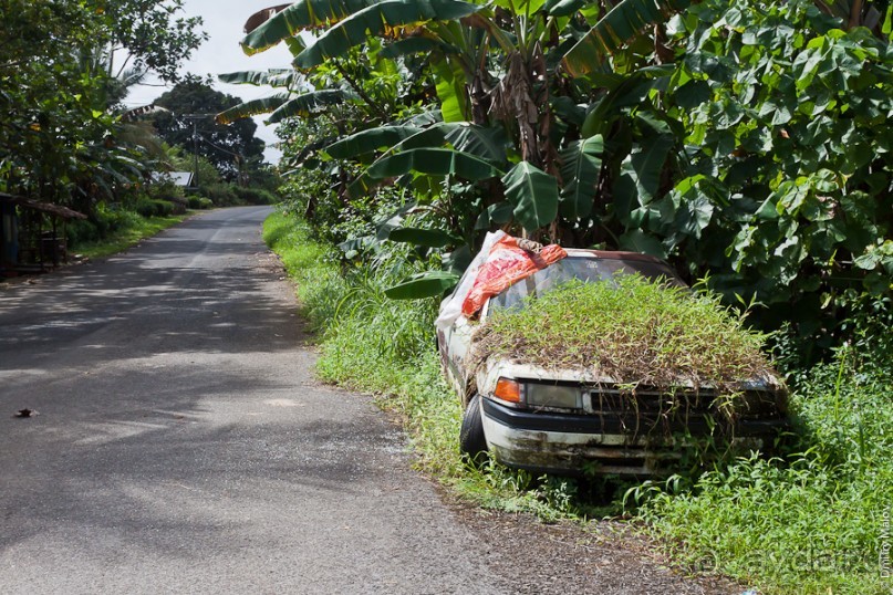 Pohnpei, Micronesia (2/2)