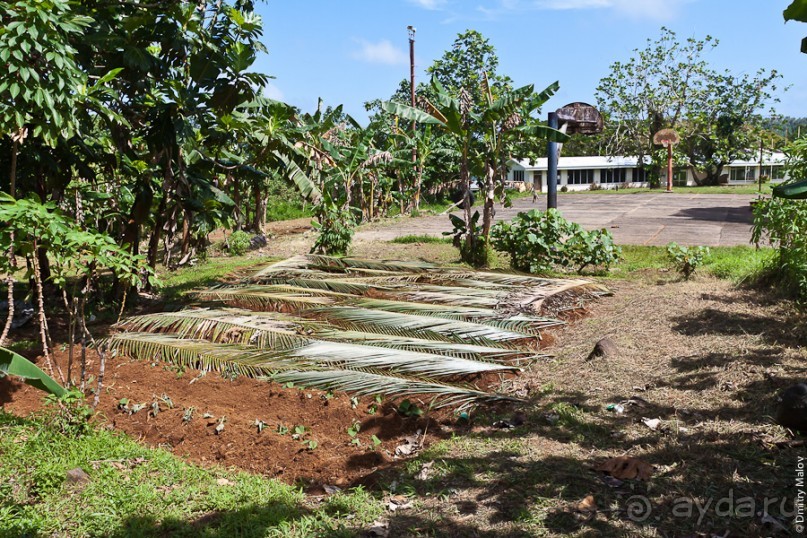 Pohnpei, Micronesia (2/2)