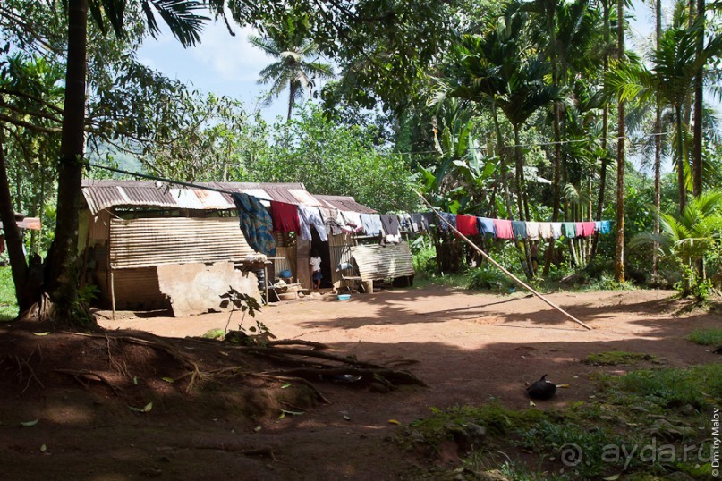 Pohnpei, Micronesia (2/2)