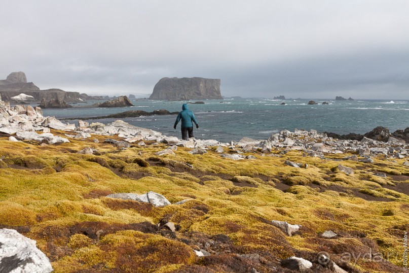 Антарктида: Скоро Антарктида! Самолётом