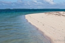 фото Бивертон