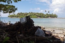 фото Бивертон