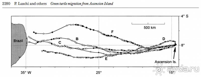 Остров Вознесения, южный Атлантический Океан (1/3)