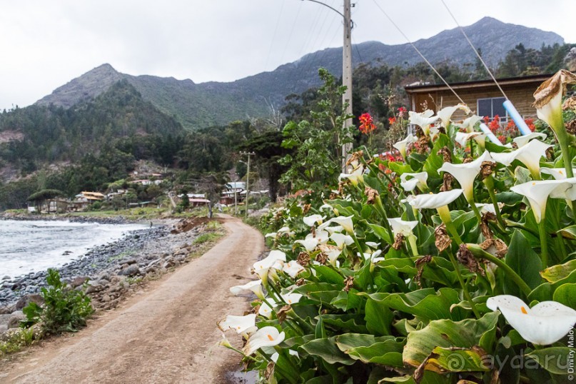 Остров Робинзона Крузо (3/3)