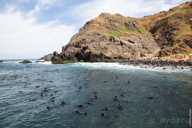 Остров Робинзона Крузо (3/3)