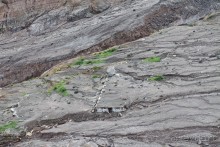 Монтсеррат. Montserrat, West Indies (2/4).