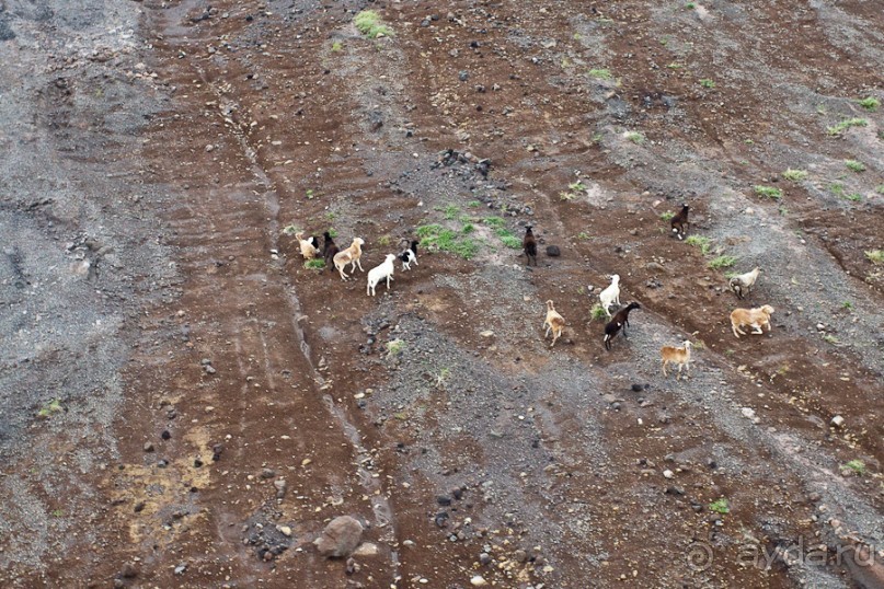 Монтсеррат. Montserrat, West Indies (2/4).
