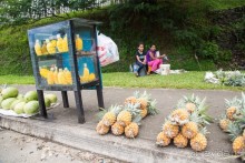 Фиджи — Большой остров