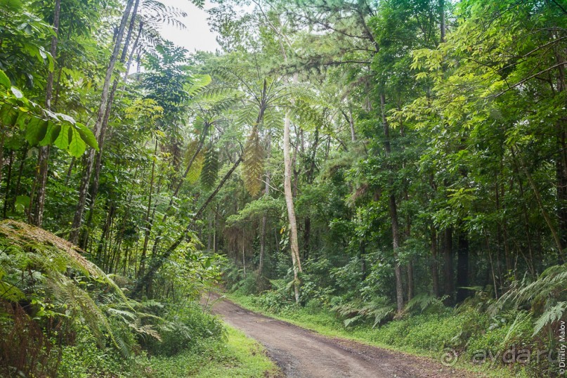 Фиджи — Большой остров