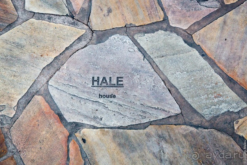 Гавайская азбука