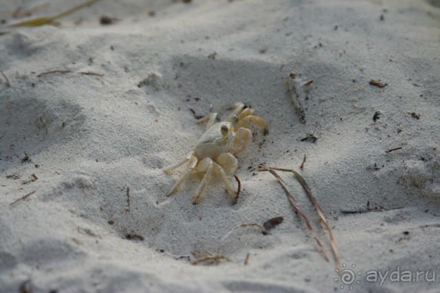 Доминиканская республика