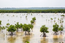 Тонга — Вавау