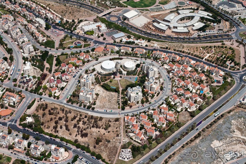 Альбом отзыва "Быстрорастворимая Палестина"