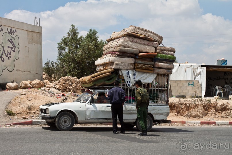 Альбом отзыва "Быстрорастворимая Палестина"
