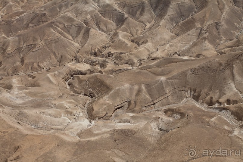 Альбом отзыва "Быстрорастворимая Палестина"