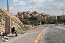 Альбом отзыва "Быстрорастворимая Палестина"