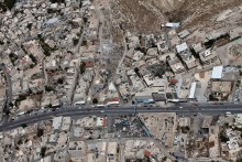 Альбом отзыва "Быстрорастворимая Палестина"